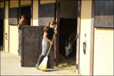 Je nettoie les stalles, les boxes, les allées. Je panse les chevaux et je les sors à l'extérieur le matin, puis les rentre le soir. Je nourris les chevaux. En gros, je fais un entretien général des écuries ainsi que de ses pensionnaires. Qui suis-je ?