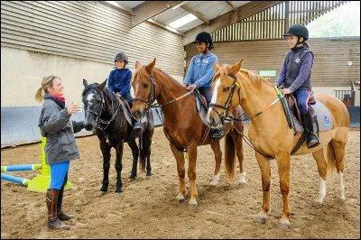 J'enseigne l'art de la monte aussi bien aux jeunes enfants qu'aux adultes. Ils se surpassent et s'améliorent grâce à moi, qui serai à leurs côtés tout au long de leur cheminement équestre. Je dois savoir réagir rapidement et efficacement devant un accident survenu avec un cavalier comme un cheval. Il faut que j'ai du sang froid pour montrer l'exemple. Qui suis-je ?