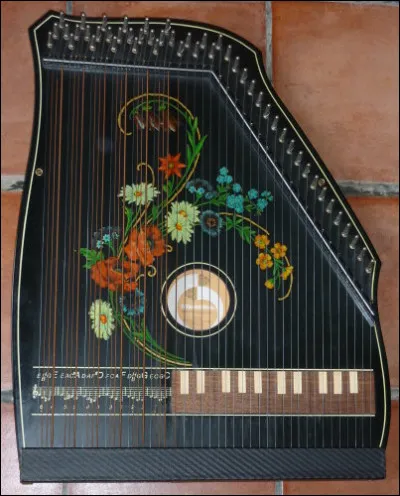 Quel instrument à corde apercevons-nous ici ?