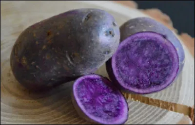 Quelle est cette variété de pomme de terre française avec une peau et une chair qui sont violettes ?