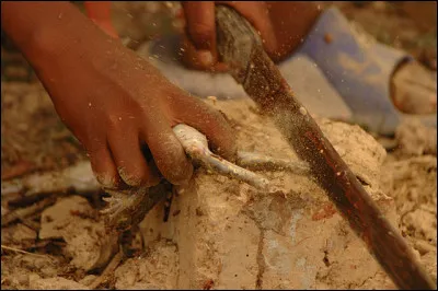 Question nourriture, justement, qu'a-t-on trouvé comme solution ?