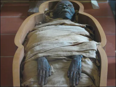 Quand ils préparaient une momie, quel est le seul organe que les prêtres laissaient en place ?