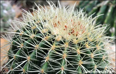 J'espère que personne ne me fera une remarque blessante, car ce serait...