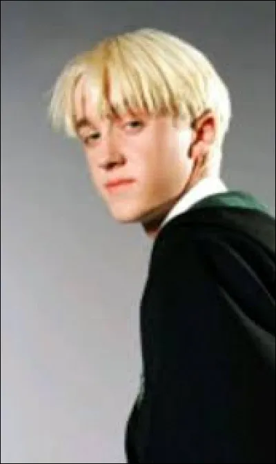Top 6 : Drago Malefoy
À la fin de la bataille à Poudlard, que lui fait Voldemort ?