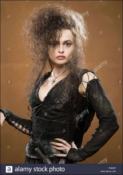 Top 6 : Bellatrix Lestrange
Dans "Les Reliques de la Mort, partie 2", que propose-t-elle à Voldemort ?