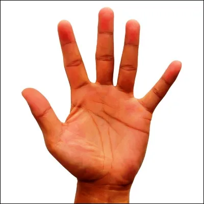 Quel doigt de la main porte un nom faisant référence à une autre partie du corps ?