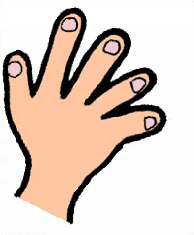 Combien de doigts a une main ?