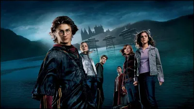 Avec qui va Harry au bal de Noël ?