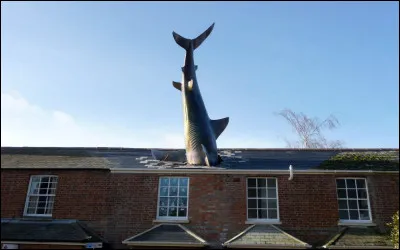 Dans quel pays pouvez-vous visiter Headington Shark ?