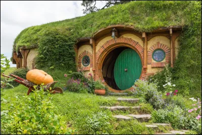 Soyez grand seigneur et visitez le village des Hobbits, pour où allez-vous prendre l'avion ?
