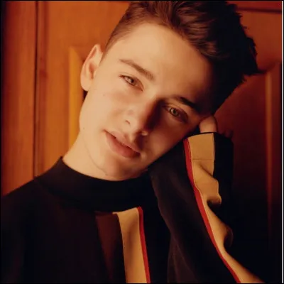 De quelle origine est Noah Schnapp ?