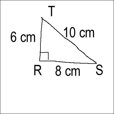 Calculer l'aire du triangle rectangle :