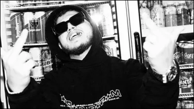 Parmi ces producteurs belges, lequel travaille sur la majorité des projets de Hamza ?