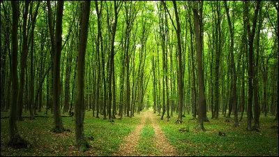 Ton environnement préféré est :