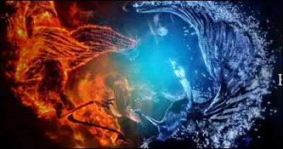 Quel est ton "objet" préféré ?