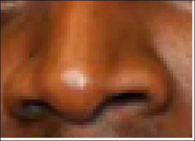 Ce nez appartient à un acteur, producteur, réalisateur, scénariste et humoriste. Qui est-il ?