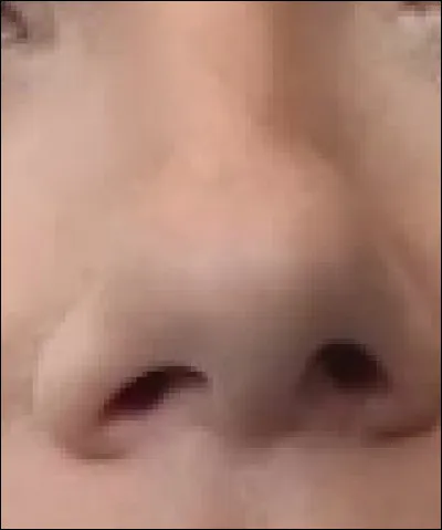 Ce nez appartient à une actrice, réalisatrice, scénariste, productrice et chanteuse. Qui est-elle ?