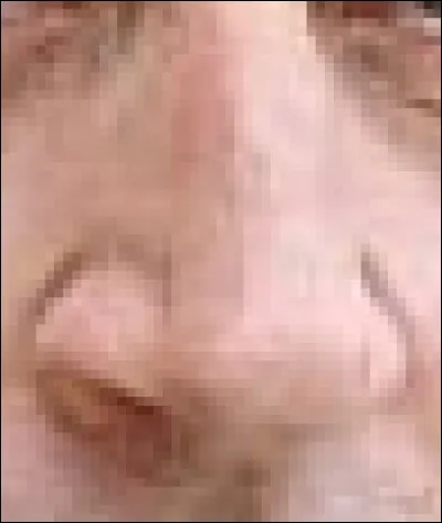 Ce nez appartient à un avocat, ancien président président de la république française. Qui est-il ?