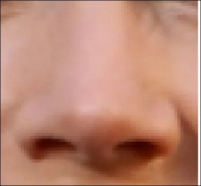 Ce nez appartient à une actrice, productrice, chanteuse et danseuse. Qui est-elle ?