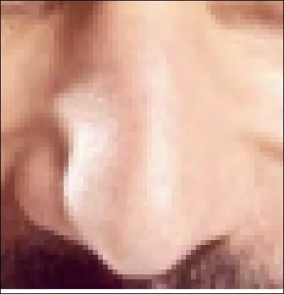 Ce nez appartient à un humoriste, animateur de radio et de télévision, comédien, chanteur, musicien et producteur. Qui est-il ?