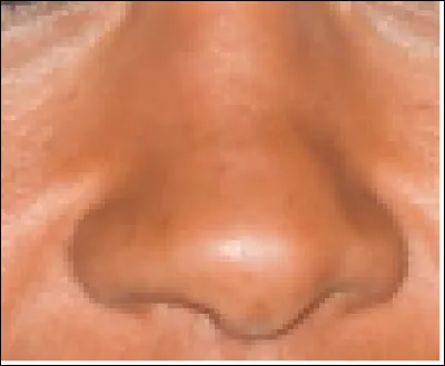 Ce nez appartient à une animatrice de télévision. Qui est-elle ?