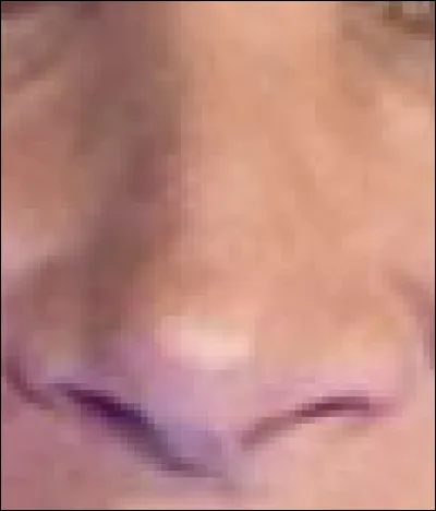 Ce nez appartient à une auteure-compositrice-interprète et actrice. Qui est-elle ?