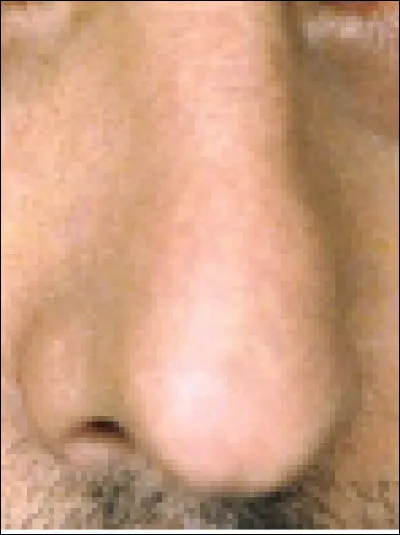 Ce nez appartient à un acteur. Qui est-il ?