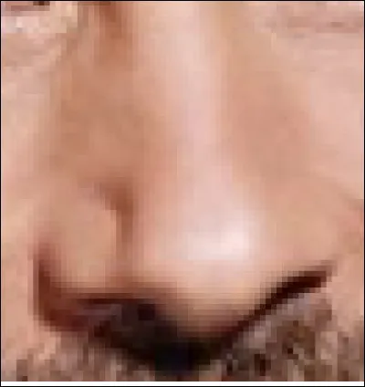 Ce nez appartient à un journaliste et animateur de télévision et de radio. Qui est-il ?