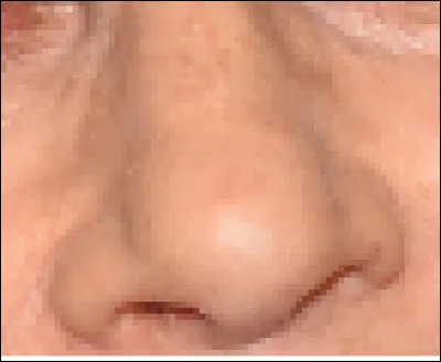 Ce nez appartient à une actrice. Qui est-elle ?