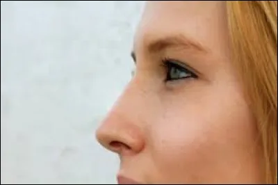 Par quel mot peut-on remplacer "rhinoplastie ultrasonique" ?