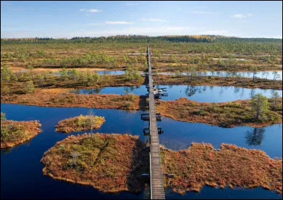 Voici le parc national de Lahemaa, sur la côte nord de l'Estonie. Il se compose de plusieurs baies donnant sur un golfe de l'est de la mer Baltique. Quel est ce golfe ?