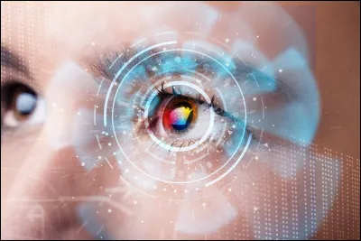 Durant mes nombreuses batailles navales, je n'y ai point perdu mon nez, mais un oeil. Je suis donc l'amiral :