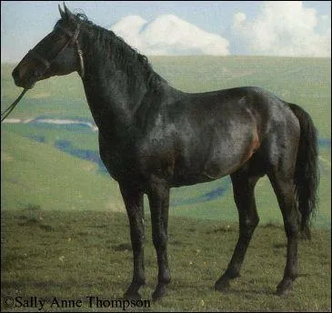 Le Kabardin est n au cours du :