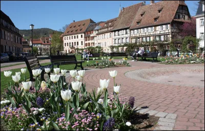 Ville de 7 500 habitants du département du Bas-Rhin, située dans l'extrême nord de l'Alsace, traversée par la Lauter, affluent gauche du Rhin :