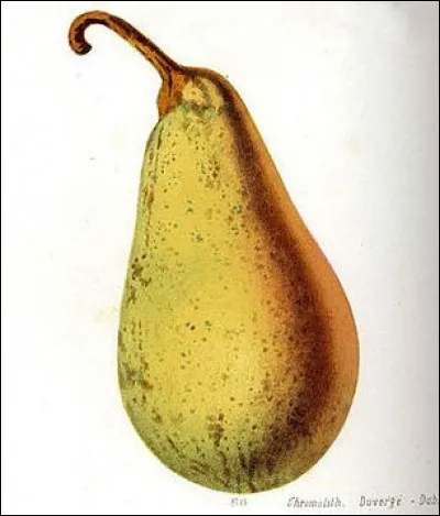 Georges Galli, le jeune premier du film "l'Homme à l'Hispano" est devenu...