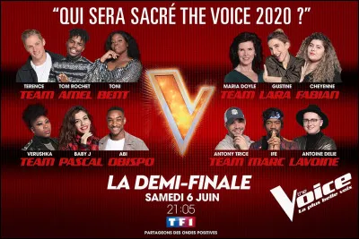 Quelles sont les différentes épreuves dans "The Voice" ?
(dans l'ordre)