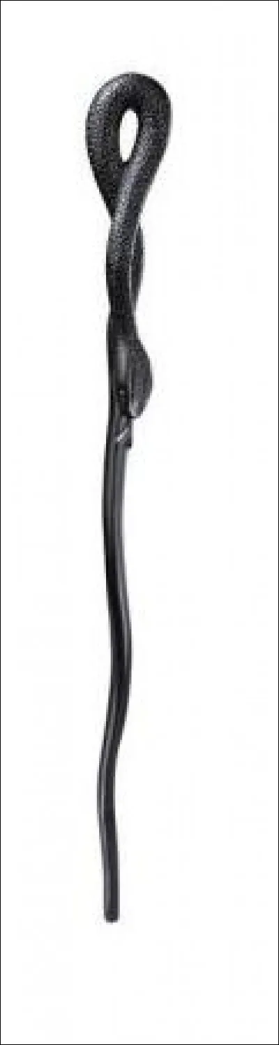 Cette baguette appartient à...