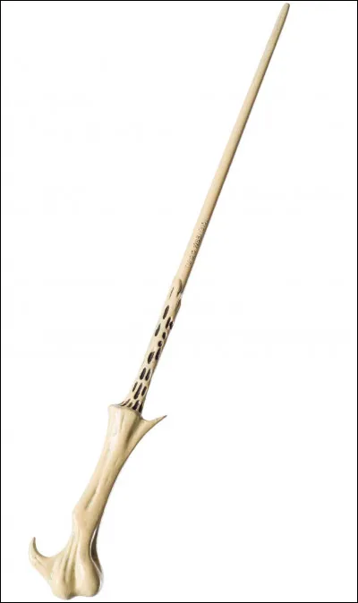 Cette baguette appartient à...