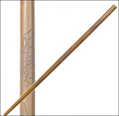 Cette baguette appartient à...