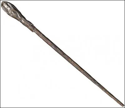 Cette baguette appartient à...