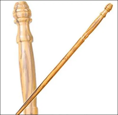 Cette baguette appartient à...