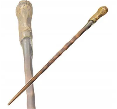 Cette baguette appartient à...