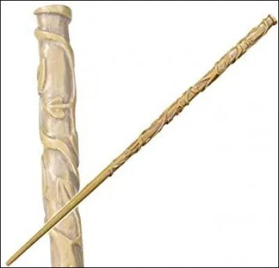 Cette baguette appartient à...