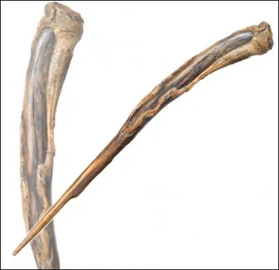 Cette baguette appartient à...