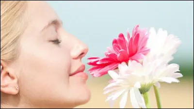 Le mot "flagrance" est un synonyme de odeur !