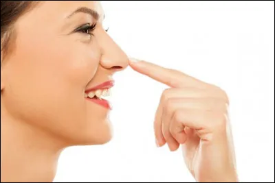 Le mot "tarain" est un synonyme de nez !