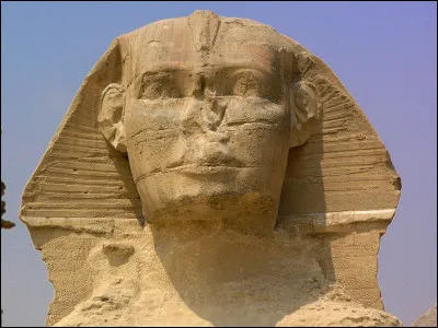 Votre nez peut s'appeler une truffe !