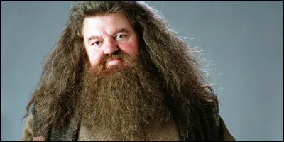 Quel objet magique Hagrid utilise-t-il pour faire de la magie ?