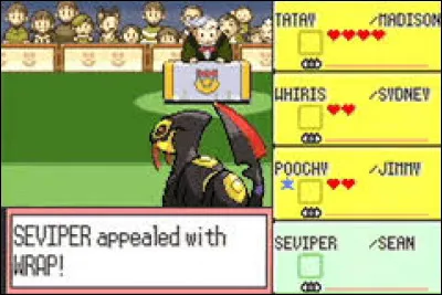 Que peut-on faire dans certaines villes du jeu ?