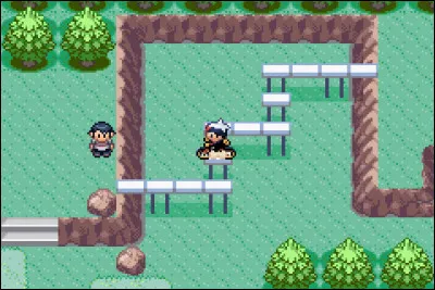 Quels sont les deux types de vélo mis à disposition ?